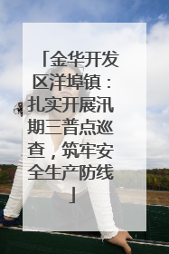 金华开发区洋埠镇：扎实开展汛期三普点巡查，筑牢安全生产防线