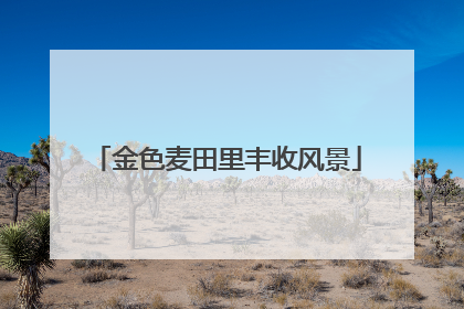 金色麦田里丰收风景