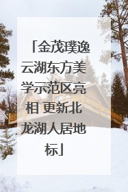 金茂璞逸云湖东方美学示范区亮相 更新北龙湖人居地标