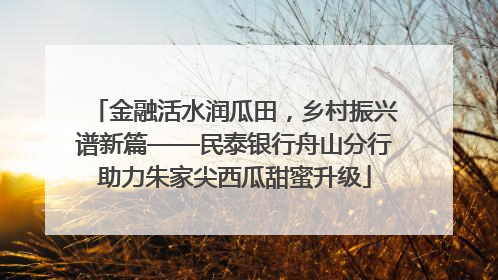 金融活水润瓜田，乡村振兴谱新篇——民泰银行舟山分行助力朱家尖西瓜甜蜜升级