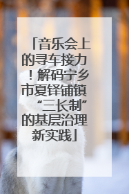 音乐会上的寻车接力！解码宁乡市夏铎铺镇“三长制”的基层治理新实践