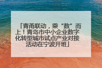 青甬联动，乘“数”而上！青岛市中小企业数字化转型城市试点产业对接活动在宁波开班