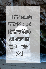 青岛西海岸新区：深化指导筑防线 靶向监督守“薪”安