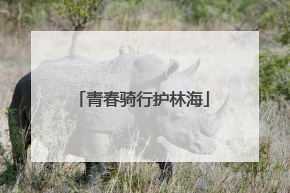 青春骑行护林海