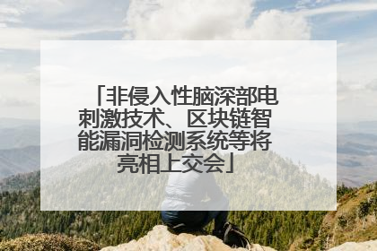 非侵入性脑深部电刺激技术、区块链智能漏洞检测系统等将亮相上交会