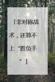 非对称战术，还算不上“胜负手”