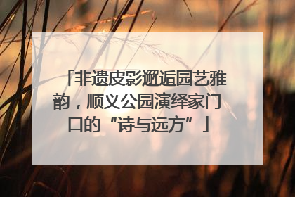 非遗皮影邂逅园艺雅韵，顺义公园演绎家门口的“诗与远方”