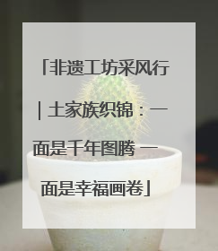 非遗工坊采风行｜土家族织锦：一面是千年图腾 一面是幸福画卷