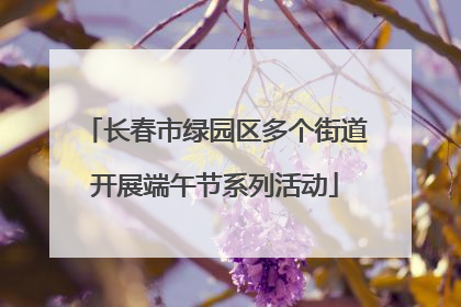 长春市绿园区多个街道开展端午节系列活动