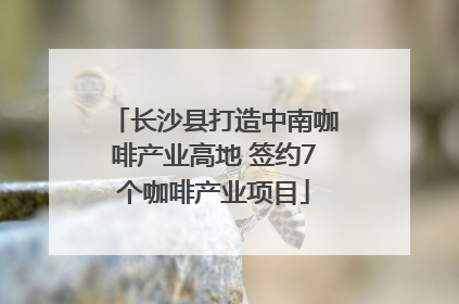 长沙县打造中南咖啡产业高地 签约7个咖啡产业项目