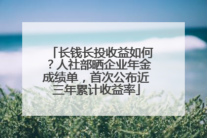 长钱长投收益如何？人社部晒企业年金成绩单，首次公布近三年累计收益率