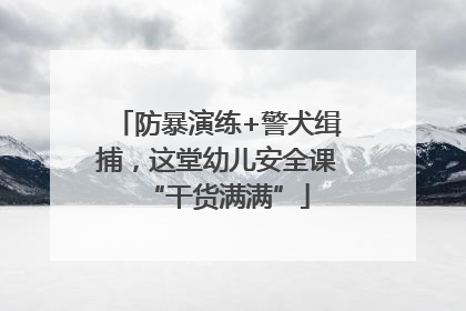 防暴演练+警犬缉捕，这堂幼儿安全课“干货满满”
