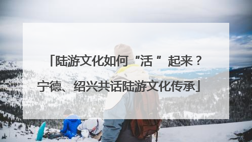 陆游文化如何“活 ”起来？宁德、绍兴共话陆游文化传承