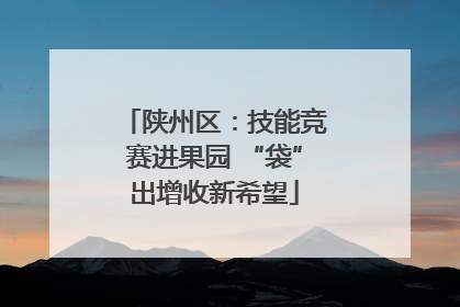 陕州区：技能竞赛进果园 “袋”出增收新希望