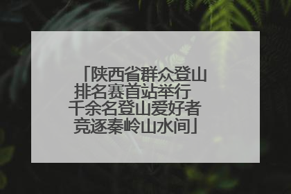 陕西省群众登山排名赛首站举行 千余名登山爱好者竞逐秦岭山水间