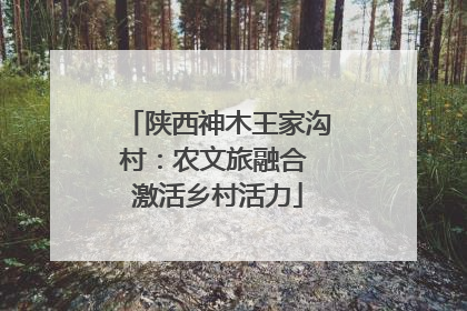 陕西神木王家沟村：农文旅融合 激活乡村活力