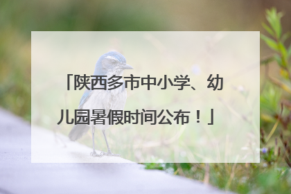 陕西多市中小学、幼儿园暑假时间公布！