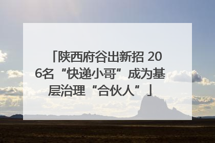 陕西府谷出新招 206名“快递小哥”成为基层治理“合伙人”