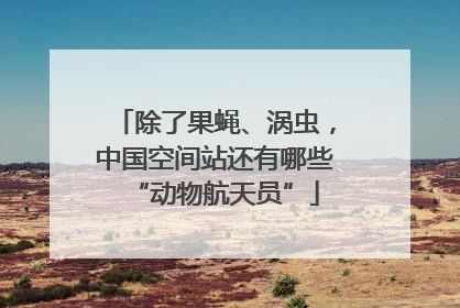 除了果蝇、涡虫，中国空间站还有哪些“动物航天员”