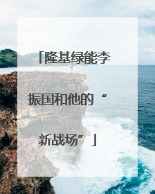 隆基绿能李振国和他的“新战场”