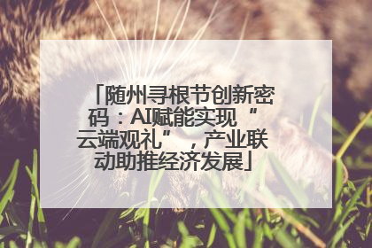 随州寻根节创新密码：AI赋能实现“云端观礼”，产业联动助推经济发展