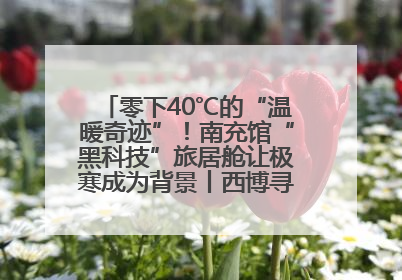 零下40℃的“温暖奇迹”！南充馆“黑科技”旅居舱让极寒成为背景丨西博寻“新”记