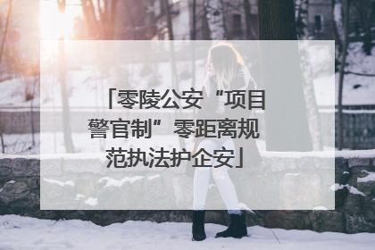 零陵公安“项目警官制”零距离规范执法护企安