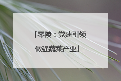 零陵：党建引领 做强蔬菜产业