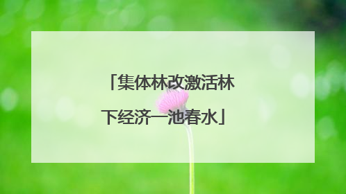 集体林改激活林下经济一池春水