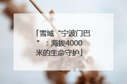 雪域“宁波门巴”：海拔4000米的生命守护