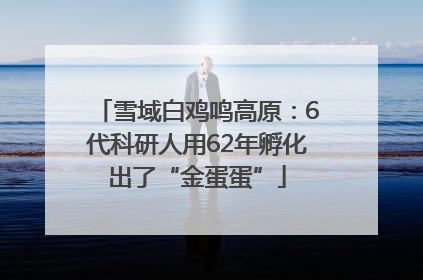 雪域白鸡鸣高原：6代科研人用62年孵化出了“金蛋蛋”