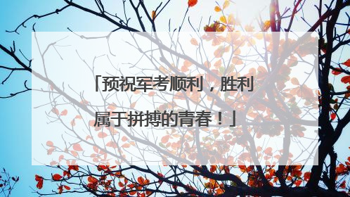 预祝军考顺利，胜利属于拼搏的青春！