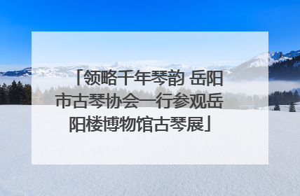 领略千年琴韵 岳阳市古琴协会一行参观岳阳楼博物馆古琴展