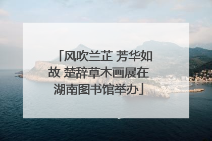 风吹兰芷 芳华如故 楚辞草木画展在湖南图书馆举办