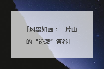 风景如画：一片山的“逆袭”答卷
