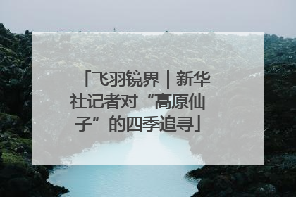 飞羽镜界｜新华社记者对“高原仙子”的四季追寻