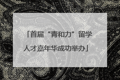 首届“青和力”留学人才嘉年华成功举办