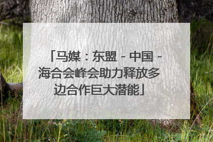 马媒：东盟－中国－海合会峰会助力释放多边合作巨大潜能