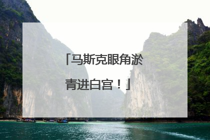 马斯克眼角淤青进白宫！