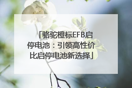 骆驼橙标EFB启停电池：引领高性价比启停电池新选择