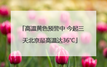 高温黄色预警中 今起三天北京最高温达36℃