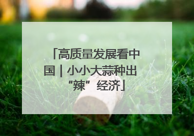 高质量发展看中国｜小小大蒜种出“辣”经济