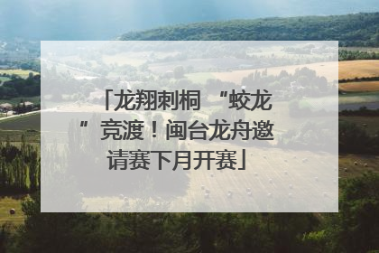 龙翔刺桐 “蛟龙”竞渡！闽台龙舟邀请赛下月开赛