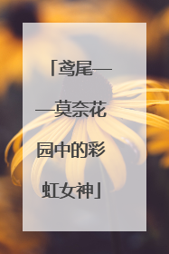 鸢尾——莫奈花园中的彩虹女神