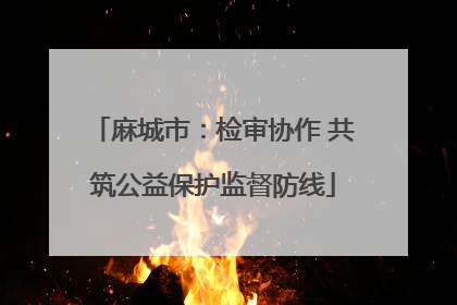 麻城市：检审协作 共筑公益保护监督防线
