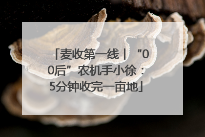 麦收第一线丨“00后”农机手小徐：5分钟收完一亩地