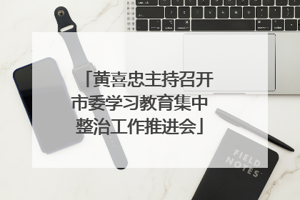 黄喜忠主持召开市委学习教育集中整治工作推进会