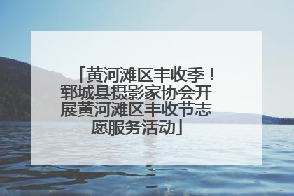 黄河滩区丰收季！郓城县摄影家协会开展黄河滩区丰收节志愿服务活动