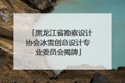 黑龙江省勘察设计协会冰雪创意设计专业委员会揭牌