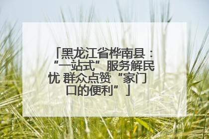 黑龙江省桦南县：“一站式”服务解民忧 群众点赞“家门口的便利”